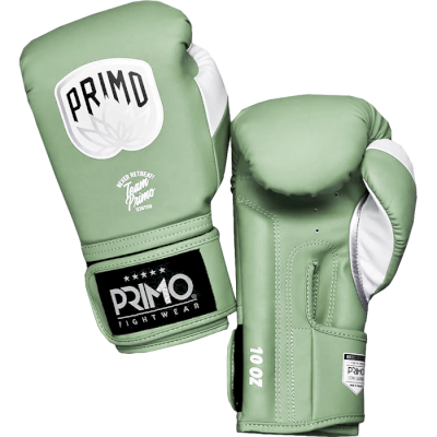 Боксерские перчатки Primo Emblem II Semi Leather Mantis