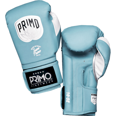 Боксерские перчатки Primo Emblem II Semi Leather Arctic Blue