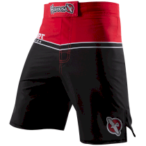 Спортивные шорты Hayabusa Sport Training L красный