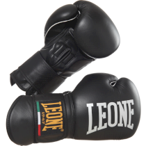 Боксерские перчатки Leone Professional 14 унц. черный
