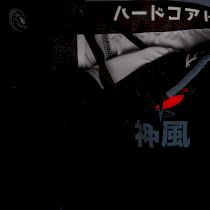 Шорты Hardcore Training Sakura XL черный
