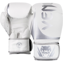 Боксерские перчатки Venum Challenger 2.0 White/Silver 10 унц. 