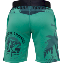 Тренировочные шорты Hardcore Training Voyage Mint s голубой