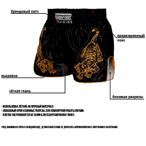 Тайские шорты Hardcore Training Tigers m золотой
