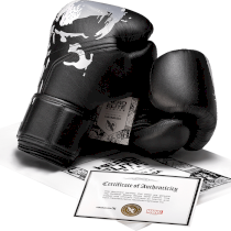 Боксерские перчатки Hayabusa The Punisher 16унц. 