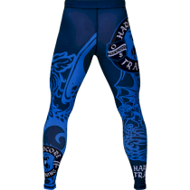 Компрессионные штаны Hardcore Training Heraldry Blue m синий