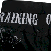 Тренировочные шорты Hardcore Training Sons Of Hardcore XL черный