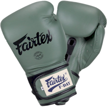 Боксерские перчатки Fairtex F-Day BGV11 12 унц. зеленый