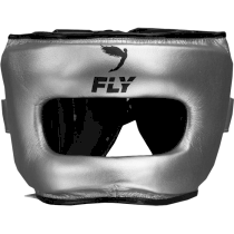 Шлем Fly Superbar X Silver/Black серебряный xl