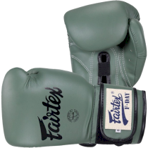 Боксерские перчатки Fairtex F-Day BGV11 16 унц. зеленый