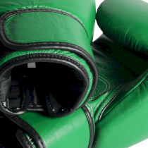 Боксерские перчатки Fairtex BGV16 Forest Green 14унц. зеленый