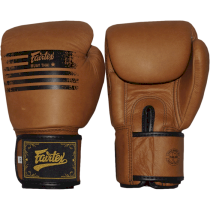 Боксерские перчатки Fairtex BGV21 Legacy 16унц. 