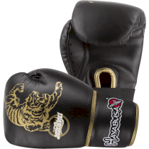 Перчатки Hayabusa Muay Thai 10oz