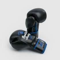 Боксерские перчатки Hardcore Training GOB Black/Blue