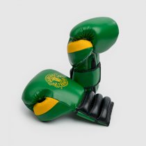 Боксерские перчатки Hardcore Training GRT1 Boxing Gloves Green/Black/Yellow