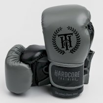 Детские боксерские перчатки Hardcore Training Revolution Gray/Black PU