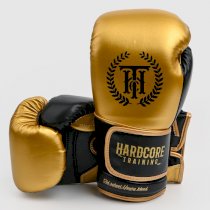 Детские боксерские перчатки Hardcore Training Revolution Gold/Black PU