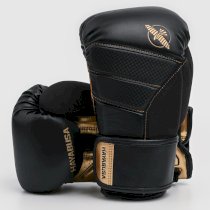 Боксерские перчатки Hayabusa T3 Black/Gold