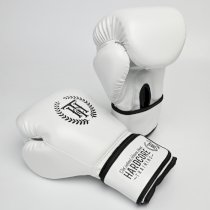 Боксерские перчатки Hardcore Training Base PU White