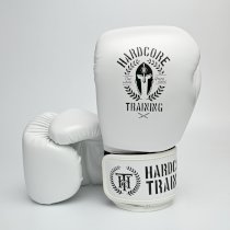 Боксерские перчатки Hardcore Training Helmet PU White